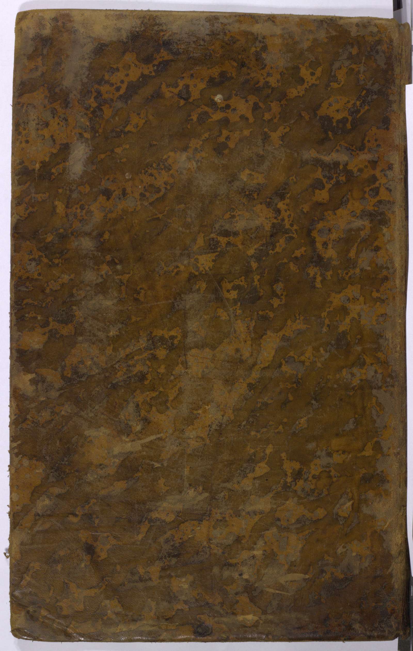 PL_1_4_1-407_9999-okladka